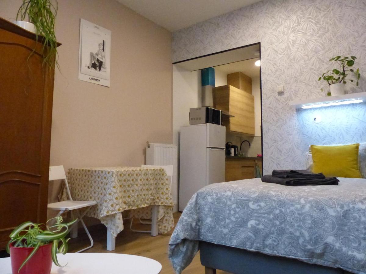 Superbe Studio Au 1Er Etage, Proche De La Gare Du Midi Brussels Ngoại thất bức ảnh